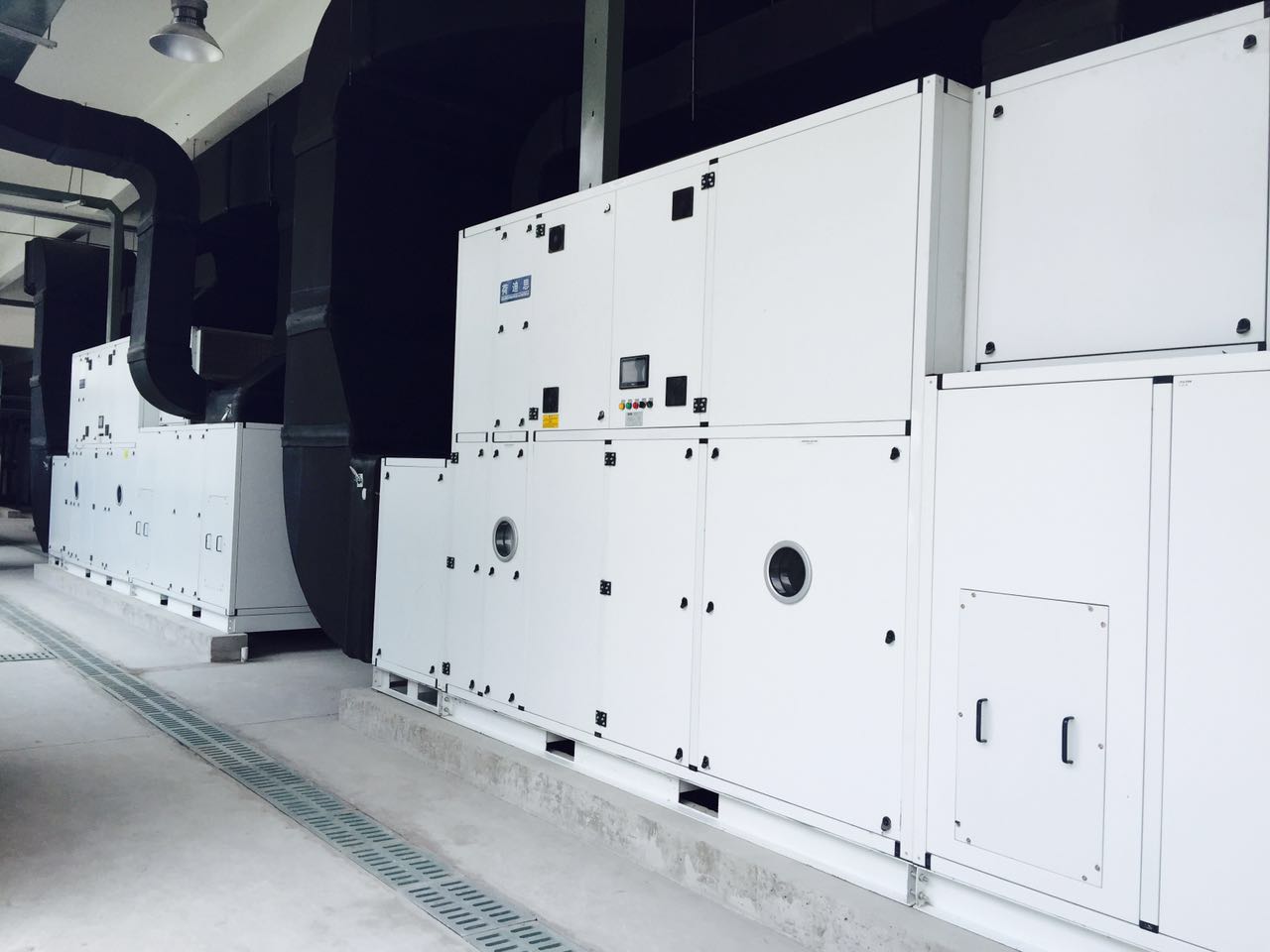 �D݆����͑��F��