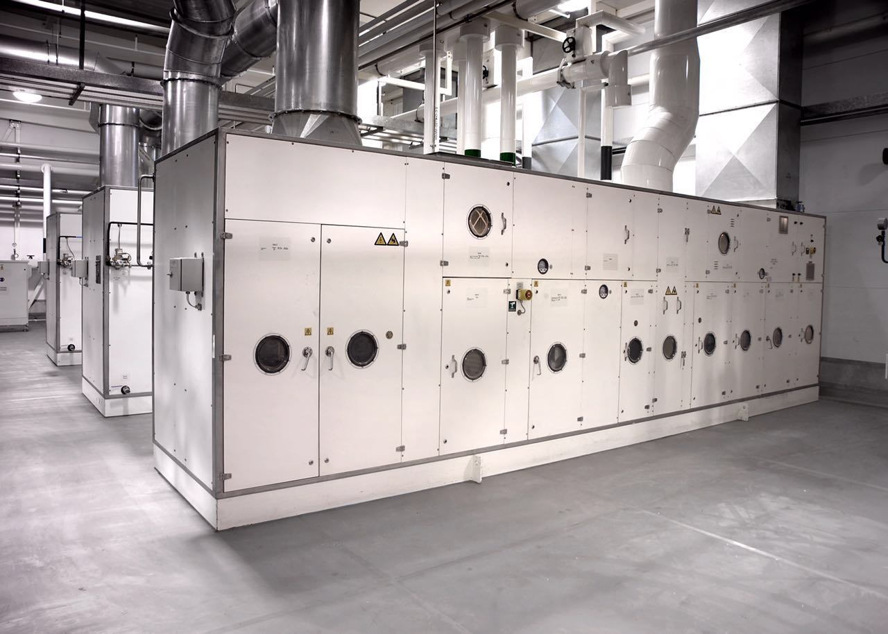 �D݆����͑��F��