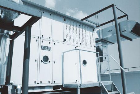 �D݆����͑��F��